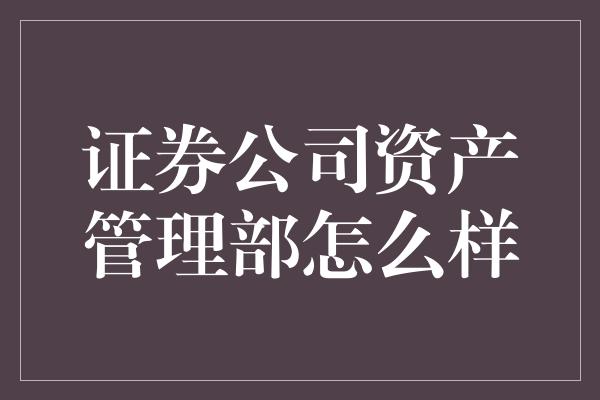 证券公司资产管理部怎么样