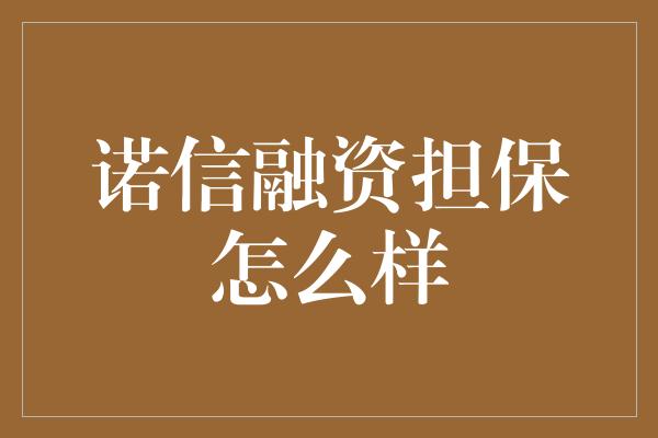 诺信融资担保怎么样