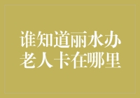 如何在丽水办理老人卡，轻松享受城市福利？