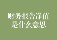 财务报告净值的深度解析：企业财务状况的真实映照