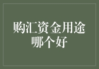 在汇率波动中淘金：购汇资金的五种趣味用途