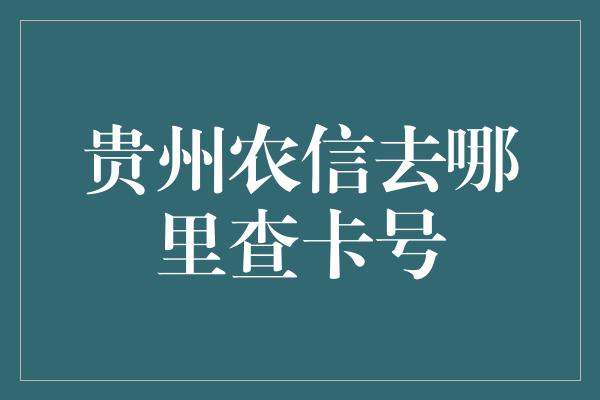 贵州农信去哪里查卡号