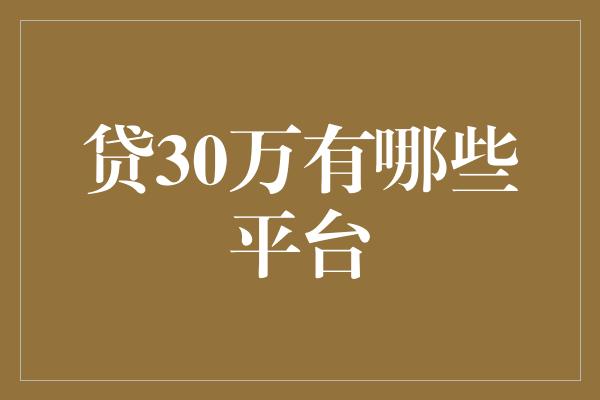 贷30万有哪些平台