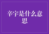 解读辛宇：人生轨迹与梦想的交织