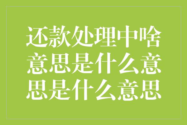 还款处理中啥意思是什么意思是什么意思