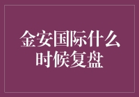 金安国际：一场复盘的马拉松与寻宝游戏