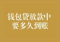 钱包贷放款到账速度大挑战：你猜多久能袋袋平安？