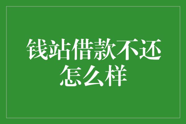 钱站借款不还怎么样