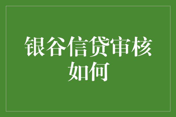 银谷信贷审核如何