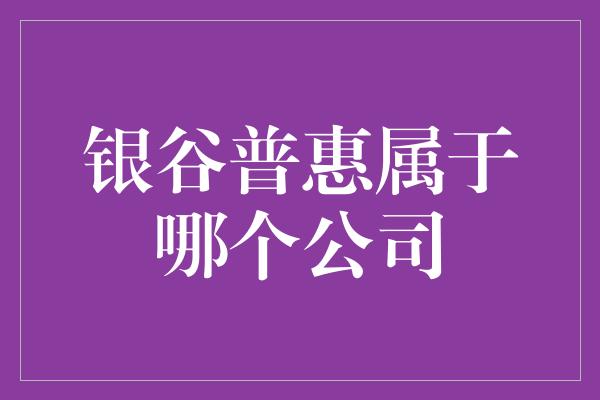 银谷普惠属于哪个公司