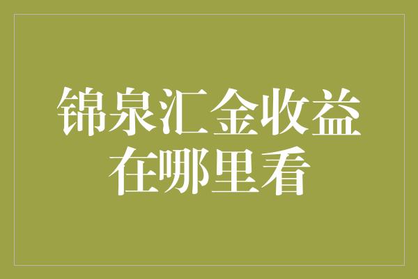 锦泉汇金收益在哪里看