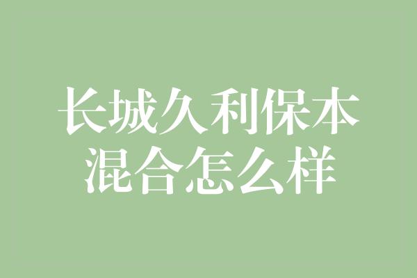 长城久利保本混合怎么样