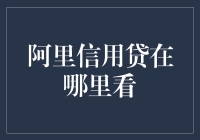 阿里巴巴电商平台信用贷款服务：如何查询进度与使用说明