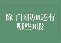 除了国防B外，值得投资者关注的其他B股投资领域