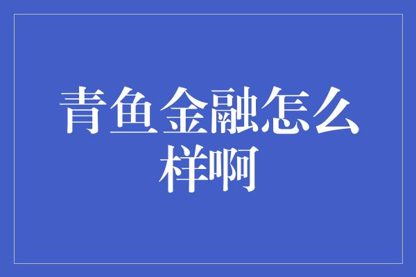 青鱼金融怎么样啊