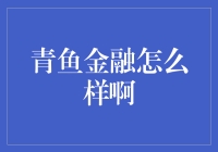 青鱼金融：金融科技引领下的投资新体验