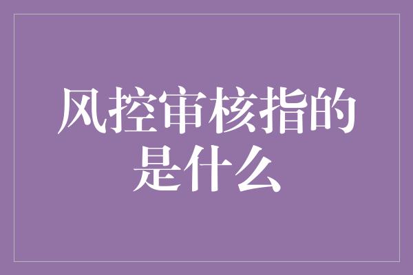 风控审核指的是什么