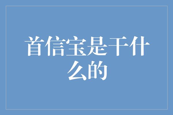 首信宝是干什么的