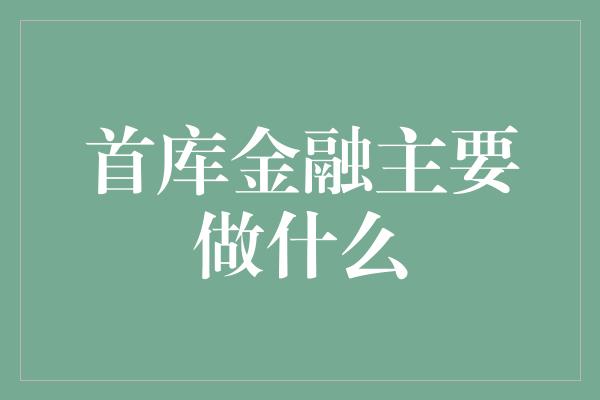 首库金融主要做什么