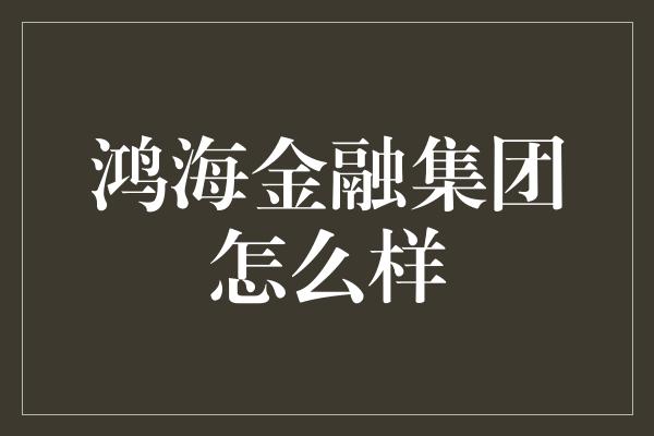 鸿海金融集团怎么样