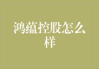 鸿蕴控股：探索创新金融解决方案的引领者