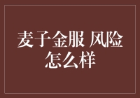 麦子金服的风险评估与防控策略：一份全面分析报告