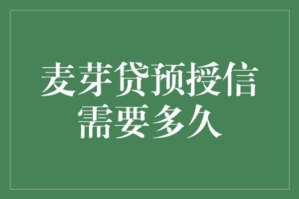 麦芽贷预授信需要多久