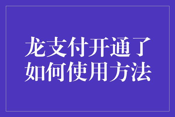 龙支付开通了如何使用方法