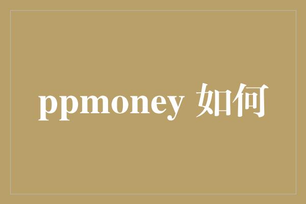 ppmoney 如何