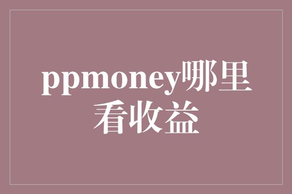 ppmoney哪里看收益