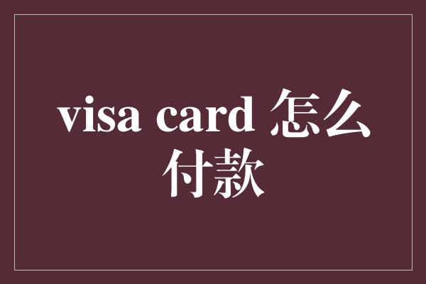 visa card 怎么付款