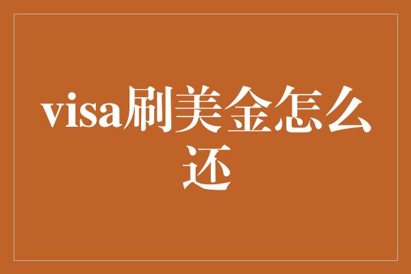 visa刷美金怎么还